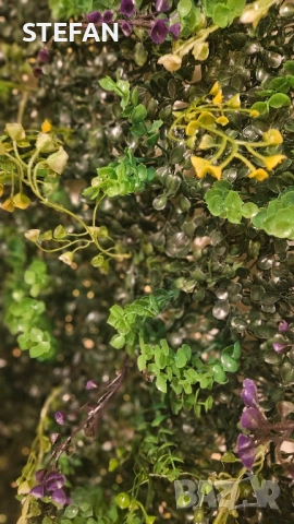 Промо изкуствена трева пано 60/40, снимка 13 - Декорация за дома - 51418412