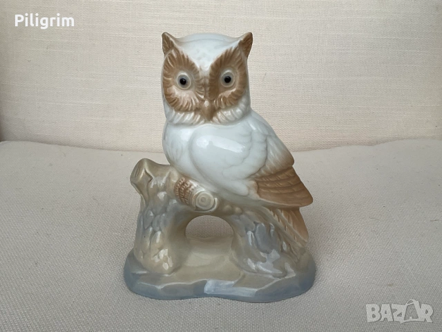 Бухал  M. Requena, Испания.