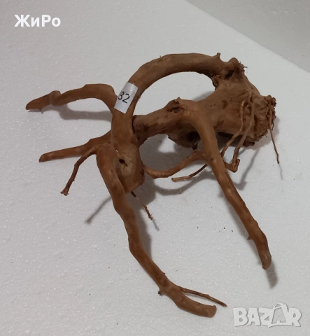 Корен от Азалия /декорация/ 32, снимка 2 - Други - 48966448