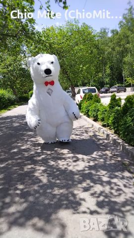 Изненада с гигантска бяла мечка, снимка 4 - Други - 45824619