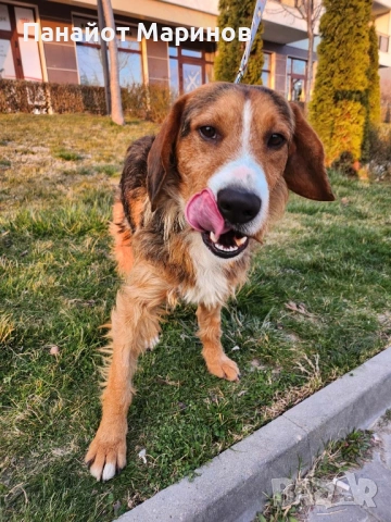 Барак ПОДАРЯВА СЕ