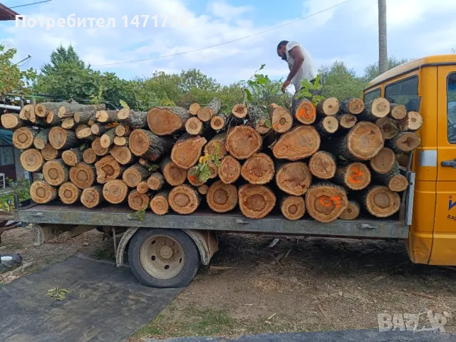 Дърва за огрев , снимка 13 - Дърва за огрев - 45429102