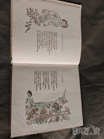 книга "Птиченца-презморчета Веса Паспалеева, снимка 4 - Детски книжки - 52438478