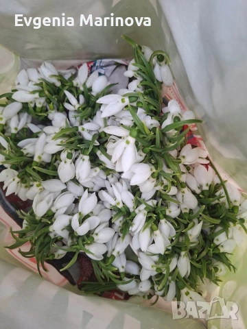 Продавам тристаен,ет2,ТЕЦ до Мед инст