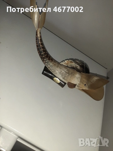 риба от истински рог, снимка 2 - Антикварни и старинни предмети - 53517688