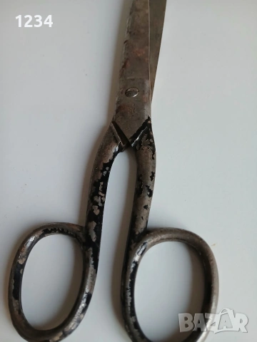 Ножици от европа 