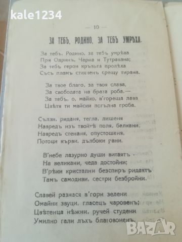 Стихосбирка "Песни на роба". Г. Константинов 1929г. Станимъка , снимка 4 - Художествена литература - 45995787