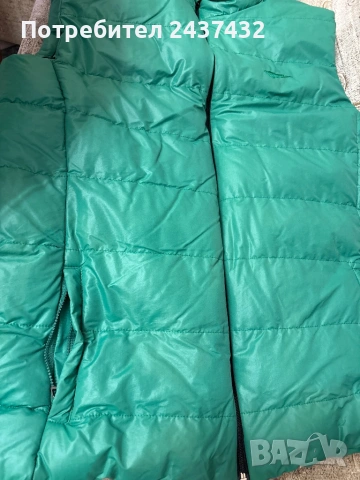 Зелена грейка, снимка 4 - Други - 53829538