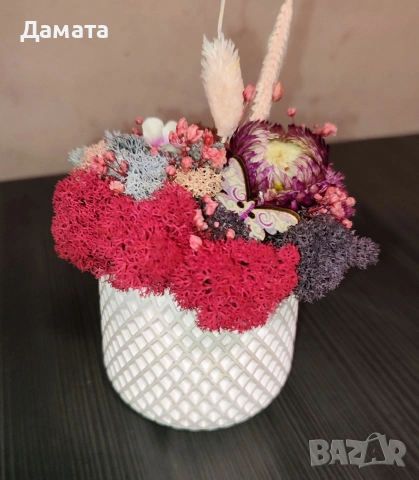 Многоцветни кашпи със скандинавски мъх 