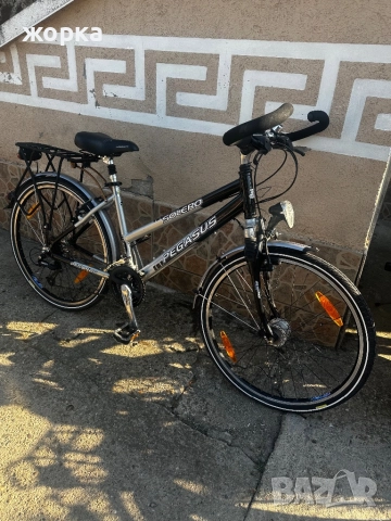 PEGASUS SOLERO 26”cola