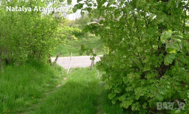 Купете новия си имот в анклава на Ведрина!, снимка 4 - Къщи - 28141058