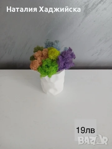 Декоративни кашпи с естествен скандинавски мъх