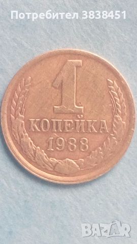 1 копейка 1988 года Русия, снимка 1 - Нумизматика и бонистика - 45637679