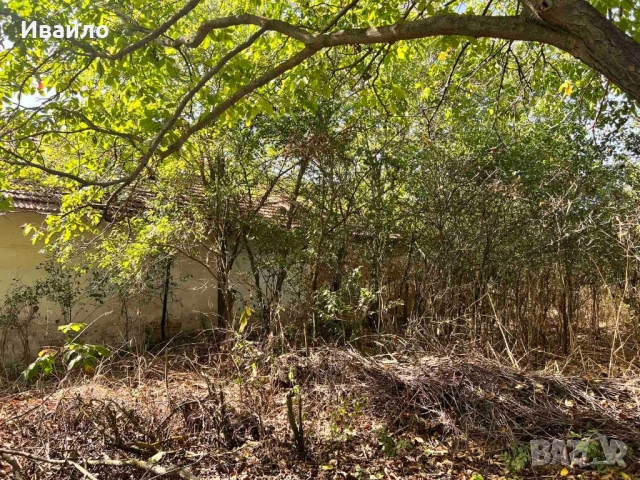 Склад с Дворно място  1000 кв.м., снимка 7 - Парцели - 52915410