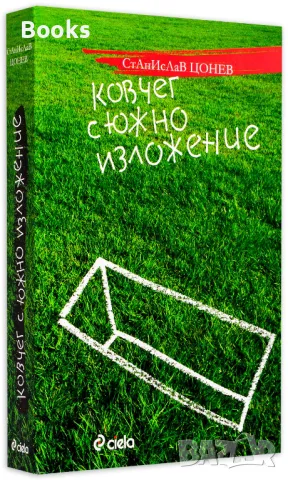 Станислав Цонев - Ковчег с южно изложение, снимка 1 - Българска литература - 48117817