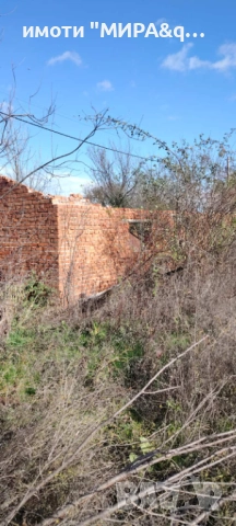 Стара къща с лятна кухня и голям парцел-с. Долно Сираково, обл.Хасково, снимка 6 - Къщи - 52611580