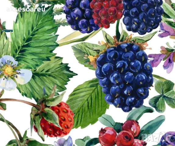 Нови 100 бр Висококачествени органични плодови семена от хранителна Къпина вкусни къпини антиоксидан, снимка 7 - Сортови семена и луковици - 50332727