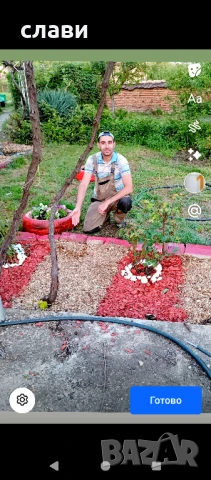 Мулч / Дървесен чипс / 100% Черница , снимка 18 - Тор и почвени смеси - 51243614