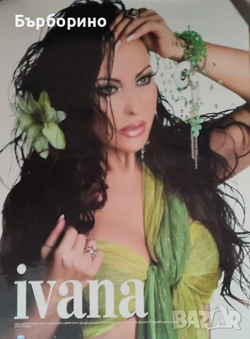 Плакати и стари стенни календари-поп-фолк и естрада, снимка 8 - Картини - 52824466