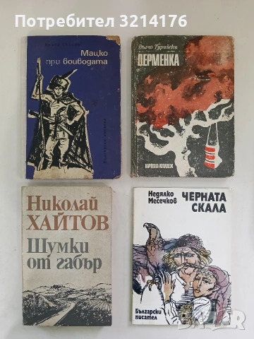 Черната скала. Повест за юноши - Недялко Месечков