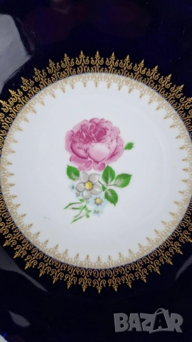 Кобалтова фруктиера - Reichenbach, Германия, снимка 4 - Други - 53192576