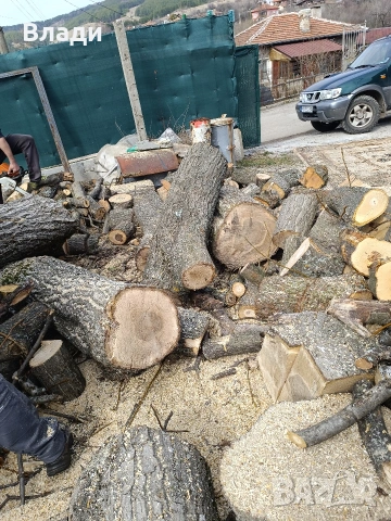 Орех-орехови трупи, снимка 8 - Дърводелски услуги - 53704493