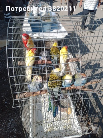 Продавам розели