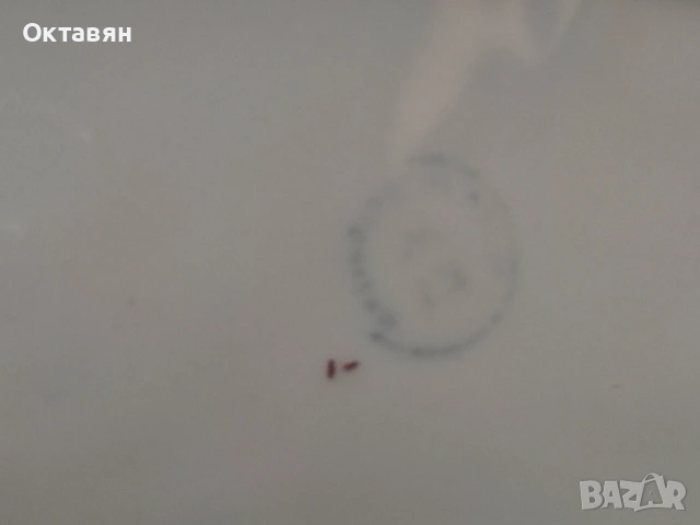 Порцеланов сервиз за хранене, снимка 11 - Сервизи - 54249443