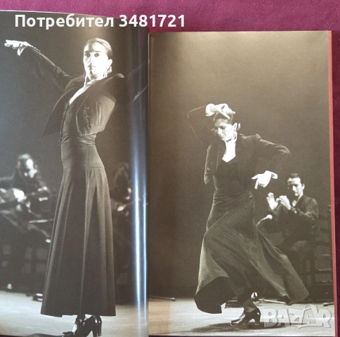 Carmen's Dance. A Fantasy Of Spanish Flamenco, снимка 3 - Енциклопедии, справочници - 53519866