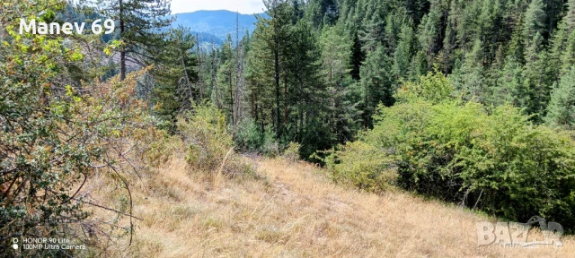 Продавам парцел в Родопите  с.Габрица.🌲