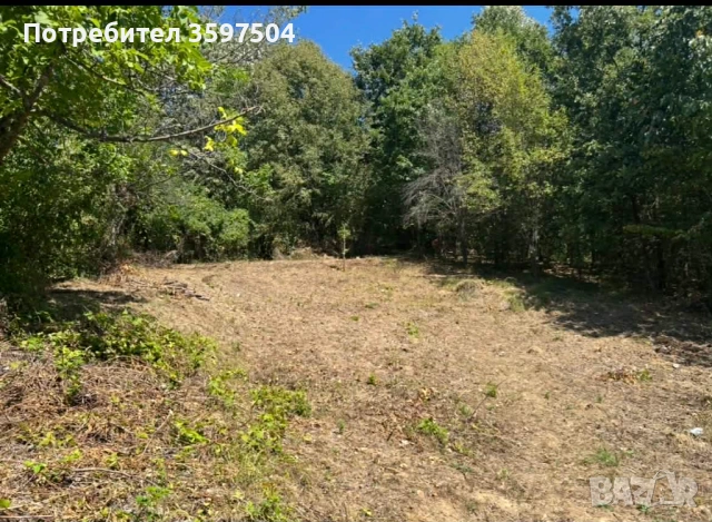 Парцел в Априлци 1000 м2, снимка 8 - Парцели - 52396292