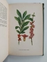 Албум с илюстрации на медоносни растения, снимка 8