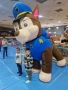 Пес Патрул,  pawpatrol , чейс, снимка 1