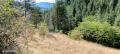 Продавам парцел в Родопите  с.Габрица.🌲, снимка 1