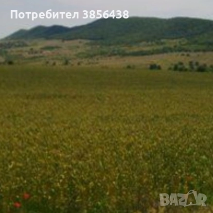 For Sale Investment Building Land 19021Sqm  By Owner Pomorie Bulgaria., снимка 1