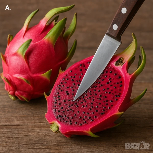 растение драконов плод червен , снимка 1