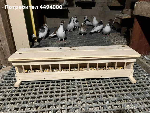 Хранилки за гълъби, снимка 7 - Гълъби - 52640305
