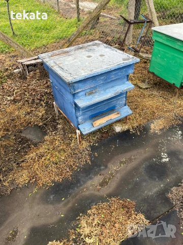 Кошери със магазини, снимка 2 - За пчели - 54166509