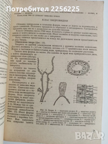 Зоология с основи на екологията, снимка 3 - Специализирана литература - 52170120