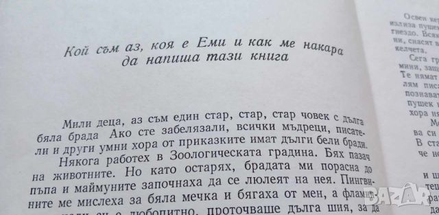 Невероятните пътешествия на Иван Прасето и Кирчо Сламката Роман за деца Владимир Голев, снимка 4 - Детски книжки - 46778465