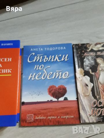 Правописен речник на български език и подарък две книги ., снимка 3 - Специализирана литература - 46296568