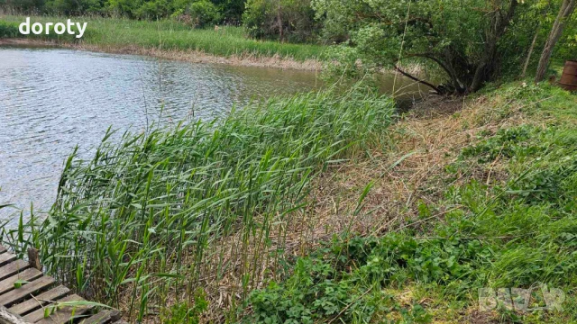 Язовир рибарник, снимка 6 - Земеделска земя - 53711235