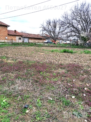 Къща с.Долна студена , снимка 10 - Къщи - 54057263