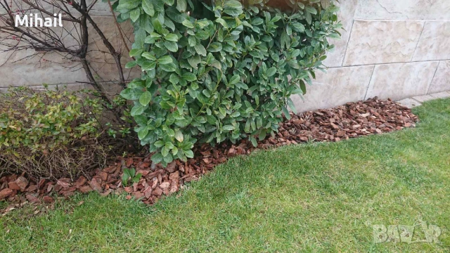 Боров чипс/ боров мулч 10.50Е, снимка 8 - Градински мебели, декорация  - 53930024