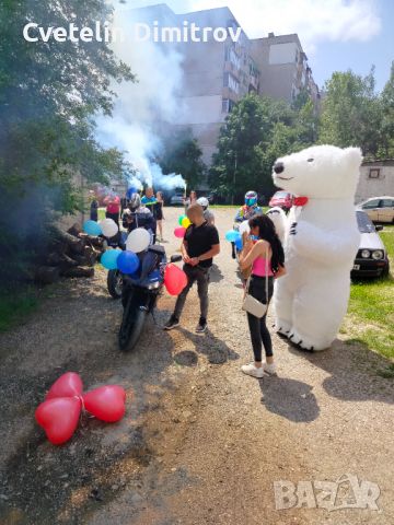 Бяло мече за вашето събитие - Област Плевен / Ловеч / Бяла Полярна мечка, снимка 7 - Други - 46291464