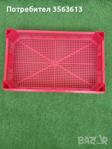 касетка за ягоди, малини, боровинки