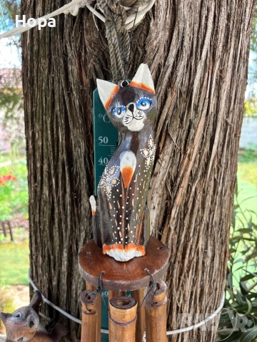 Вятърен звънец Котка