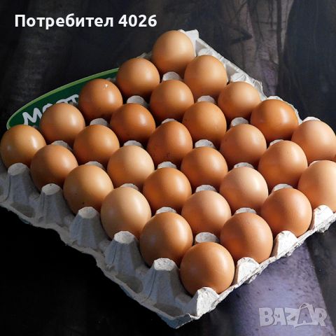 домашни  яйца 