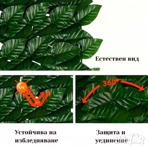 Ограда от зелени листа , снимка 2 - Декорация за дома - 53470822