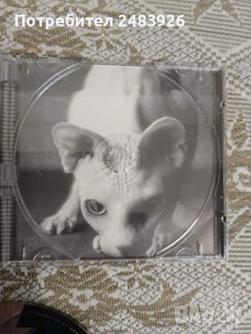 MEGADETH CD RISK, снимка 5 - CD дискове - 51717150